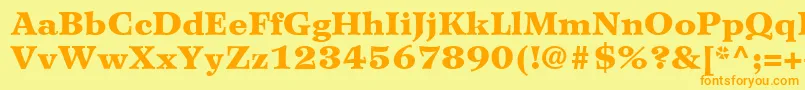 WilkeLt95Black Font – Orange Fonts on Yellow Background