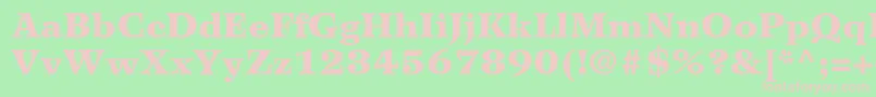 WilkeLt95Black Font – Pink Fonts on Green Background