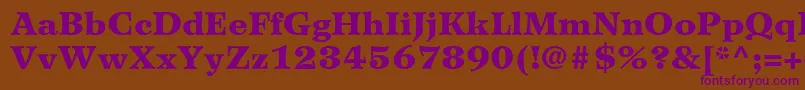 WilkeLt95Black Font – Purple Fonts on Brown Background