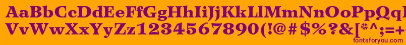WilkeLt95Black Font – Purple Fonts on Orange Background