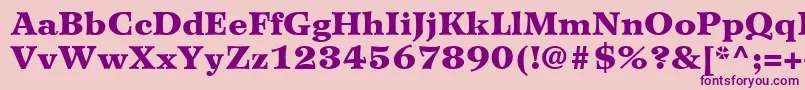 WilkeLt95Black Font – Purple Fonts on Pink Background