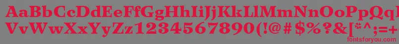WilkeLt95Black Font – Red Fonts on Gray Background