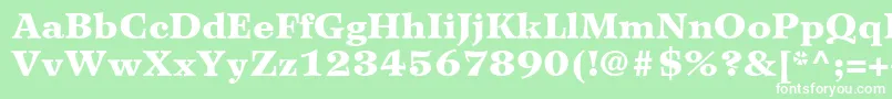 WilkeLt95Black Font – White Fonts on Green Background