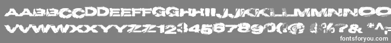 Projecty Font – White Fonts on Gray Background