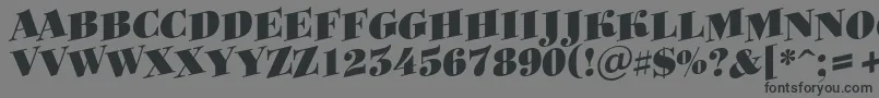 Bodoni8-Schriftart – Schwarze Schriften auf grauem Hintergrund