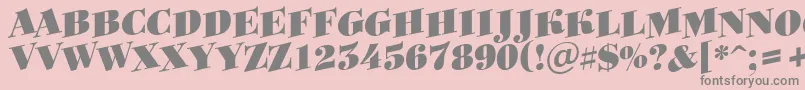 Bodoni8-Schriftart – Graue Schriften auf rosa Hintergrund