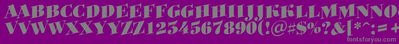 Bodoni8 Font – Gray Fonts on Purple Background