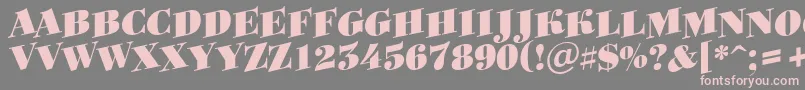 Bodoni8 Font – Pink Fonts on Gray Background