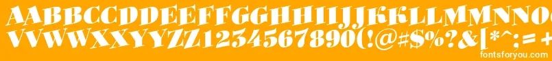 Bodoni8 Font – White Fonts on Orange Background