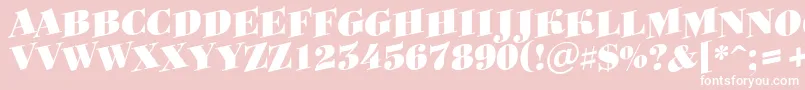 Bodoni8 Font – White Fonts on Pink Background