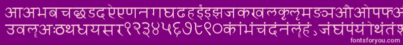 Sanskritwriting Font – Pink Fonts on Purple Background