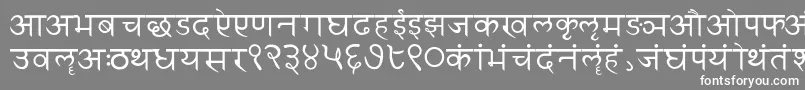 フォントSanskritwriting – 灰色の背景に白い文字