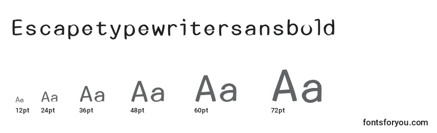Escapetypewritersansbold Font Sizes