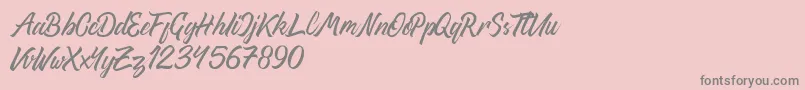 ThipeTypefaceDemo-Schriftart – Graue Schriften auf rosa Hintergrund