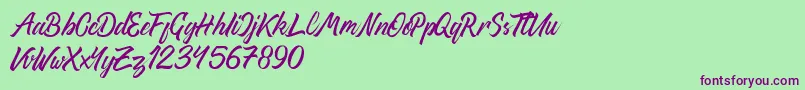 ThipeTypefaceDemo Font – Purple Fonts on Green Background