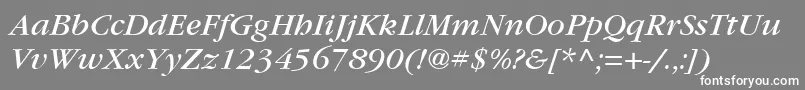 Czcionka ItcGaramondLtBookItalic – białe czcionki na szarym tle