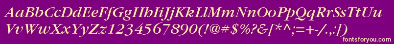 ItcGaramondLtBookItalic Font – Yellow Fonts on Purple Background