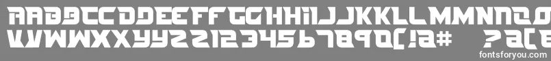 フォントNifeFites – 灰色の背景に白い文字