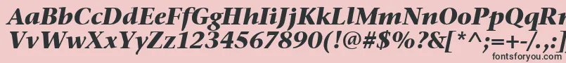 StoneSerifItcTtBolditalic Font – Black Fonts on Pink Background