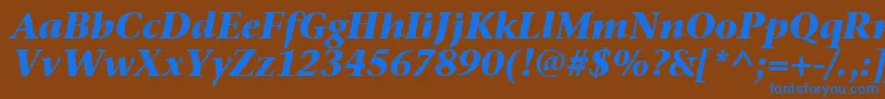 StoneSerifItcTtBolditalic Font – Blue Fonts on Brown Background