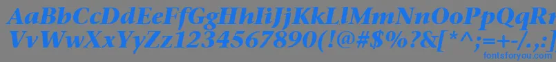StoneSerifItcTtBolditalic Font – Blue Fonts on Gray Background