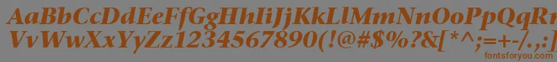 StoneSerifItcTtBolditalic Font – Brown Fonts on Gray Background