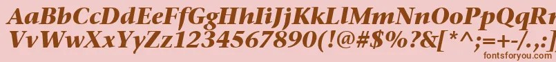 StoneSerifItcTtBolditalic Font – Brown Fonts on Pink Background