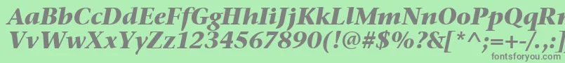 フォントStoneSerifItcTtBolditalic – 緑の背景に灰色の文字