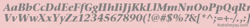 StoneSerifItcTtBolditalic Font – Gray Fonts on Pink Background