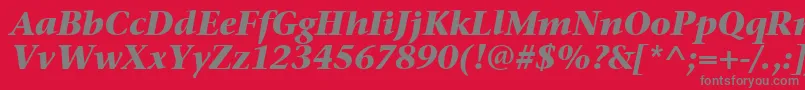 StoneSerifItcTtBolditalic Font – Gray Fonts on Red Background