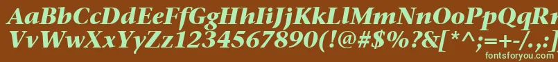 StoneSerifItcTtBolditalic Font – Green Fonts on Brown Background