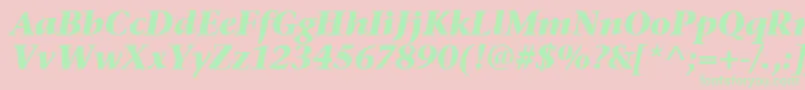 StoneSerifItcTtBolditalic Font – Green Fonts on Pink Background