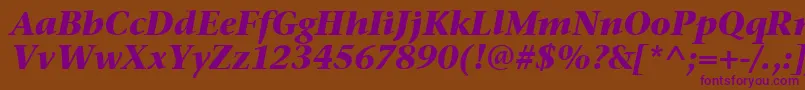 StoneSerifItcTtBolditalic Font – Purple Fonts on Brown Background