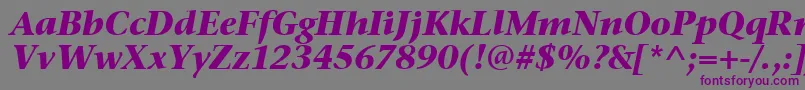 StoneSerifItcTtBolditalic Font – Purple Fonts on Gray Background