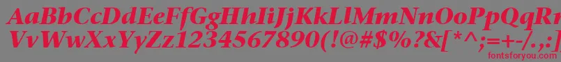 StoneSerifItcTtBolditalic Font – Red Fonts on Gray Background