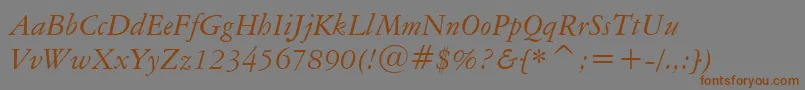 AmericanGaramondItalicBt Font – Brown Fonts on Gray Background