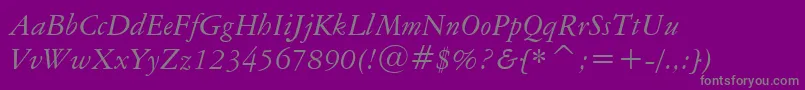 AmericanGaramondItalicBt-fontti – harmaat kirjasimet violetilla taustalla