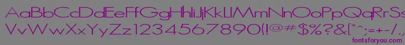 Microserif ffy-Schriftart – Violette Schriften auf grauem Hintergrund