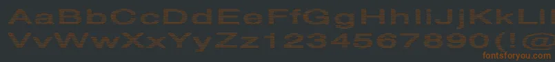 Czcionka HvstripeExtraboldEx – brązowe czcionki na czarnym tle