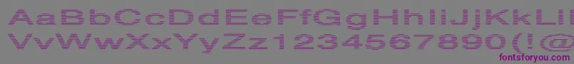 Czcionka HvstripeExtraboldEx – fioletowe czcionki na szarym tle