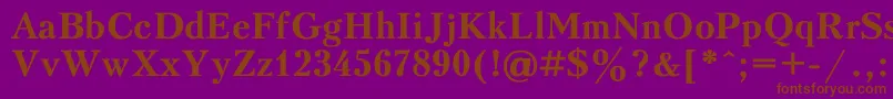 PeterburgBold Font – Brown Fonts on Purple Background