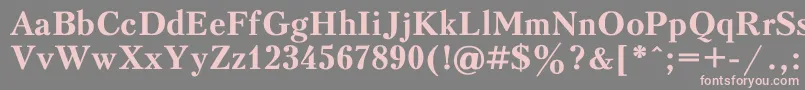 PeterburgBold Font – Pink Fonts on Gray Background