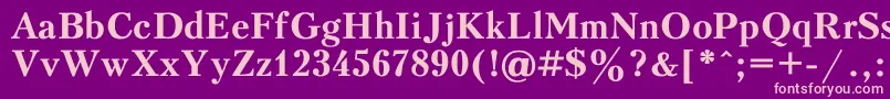 PeterburgBold Font – Pink Fonts on Purple Background