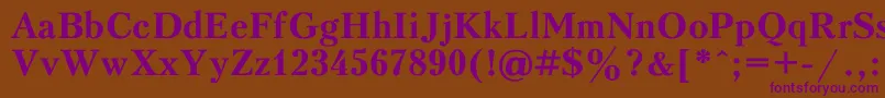 PeterburgBold Font – Purple Fonts on Brown Background