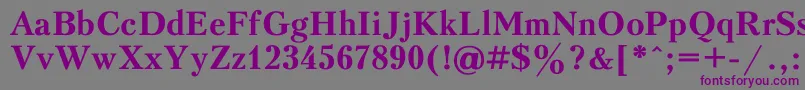 PeterburgBold Font – Purple Fonts on Gray Background