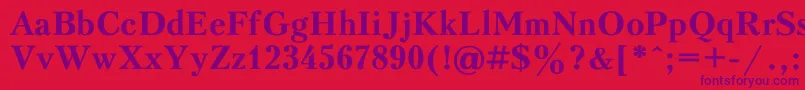 PeterburgBold Font – Purple Fonts on Red Background