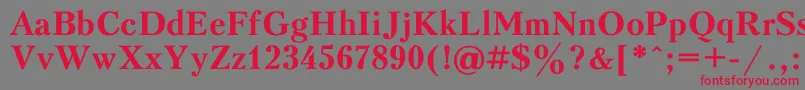PeterburgBold Font – Red Fonts on Gray Background