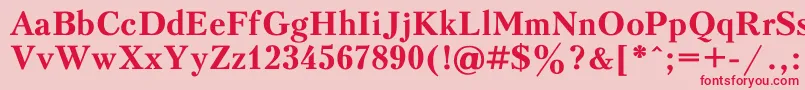 PeterburgBold Font – Red Fonts on Pink Background