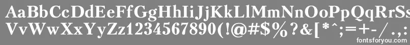 フォントPeterburgBold – 灰色の背景に白い文字