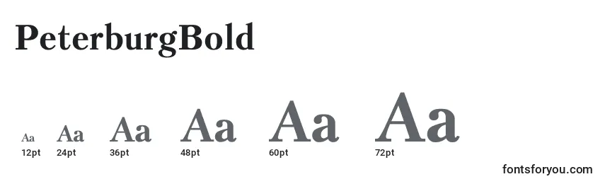 PeterburgBold Font Sizes